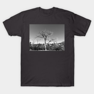 Black and white Dead Tree T-Shirt